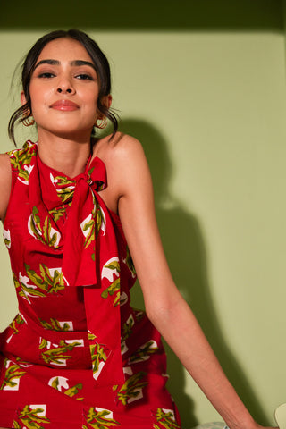 Gulzar Mini Dress