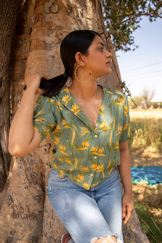Harmony Lapel Collar Shirt