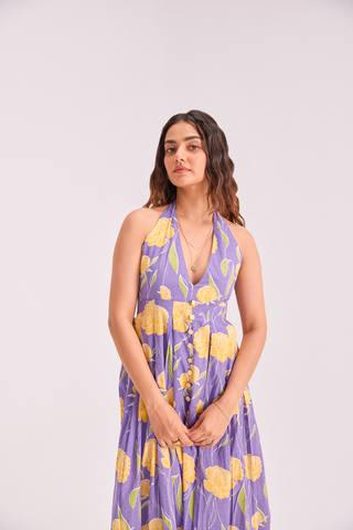The Sundowner Maxi dress