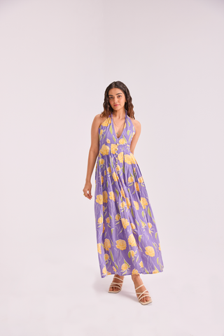 The Sundowner Maxi dress