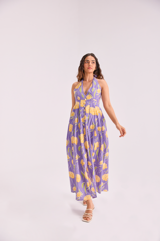 The Sundowner Maxi dress