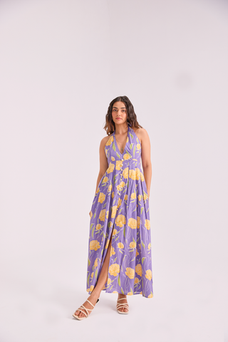 The Sundowner Maxi dress