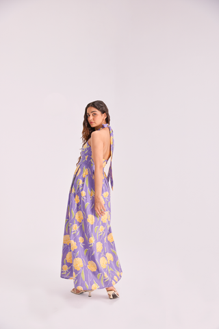 The Sundowner Maxi dress