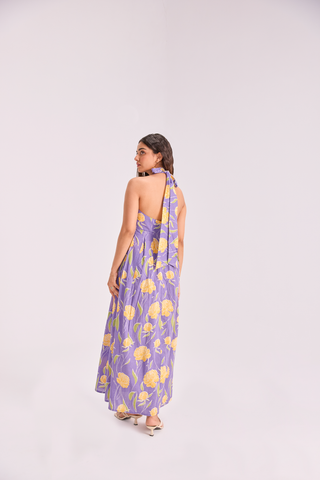 The Sundowner Maxi dress